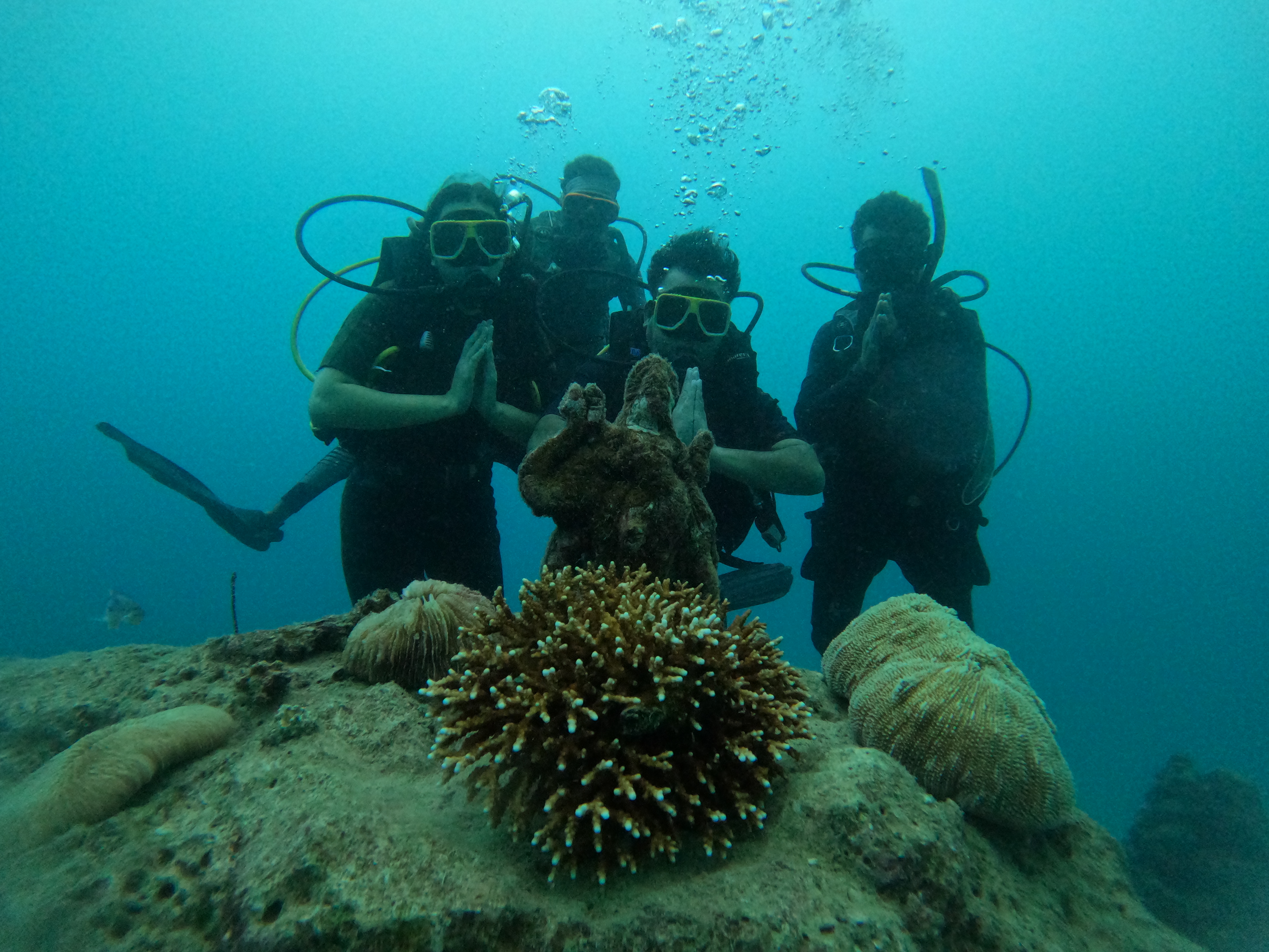 Exclusive Dive Packages