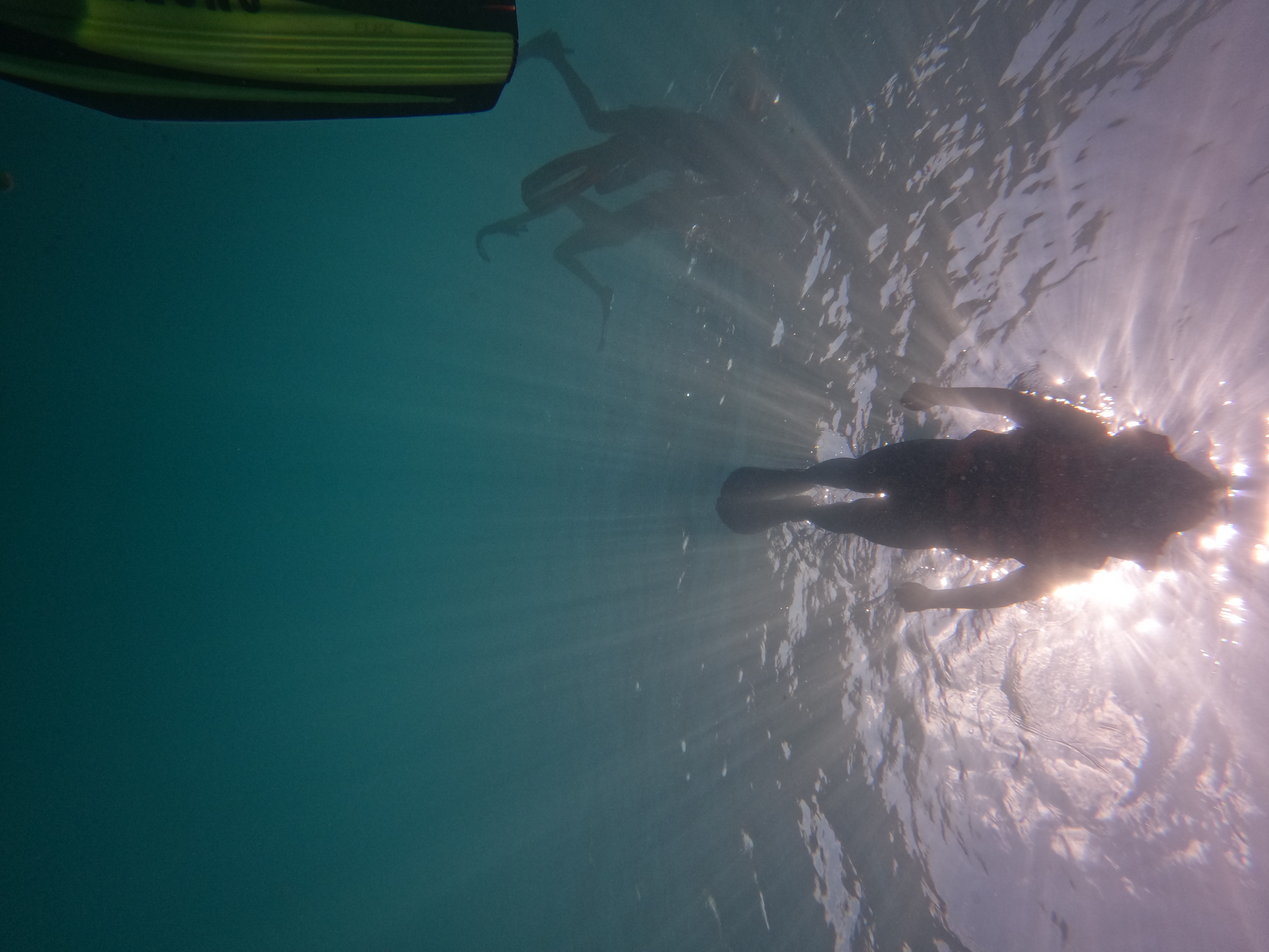 Future of Scuba Diving
