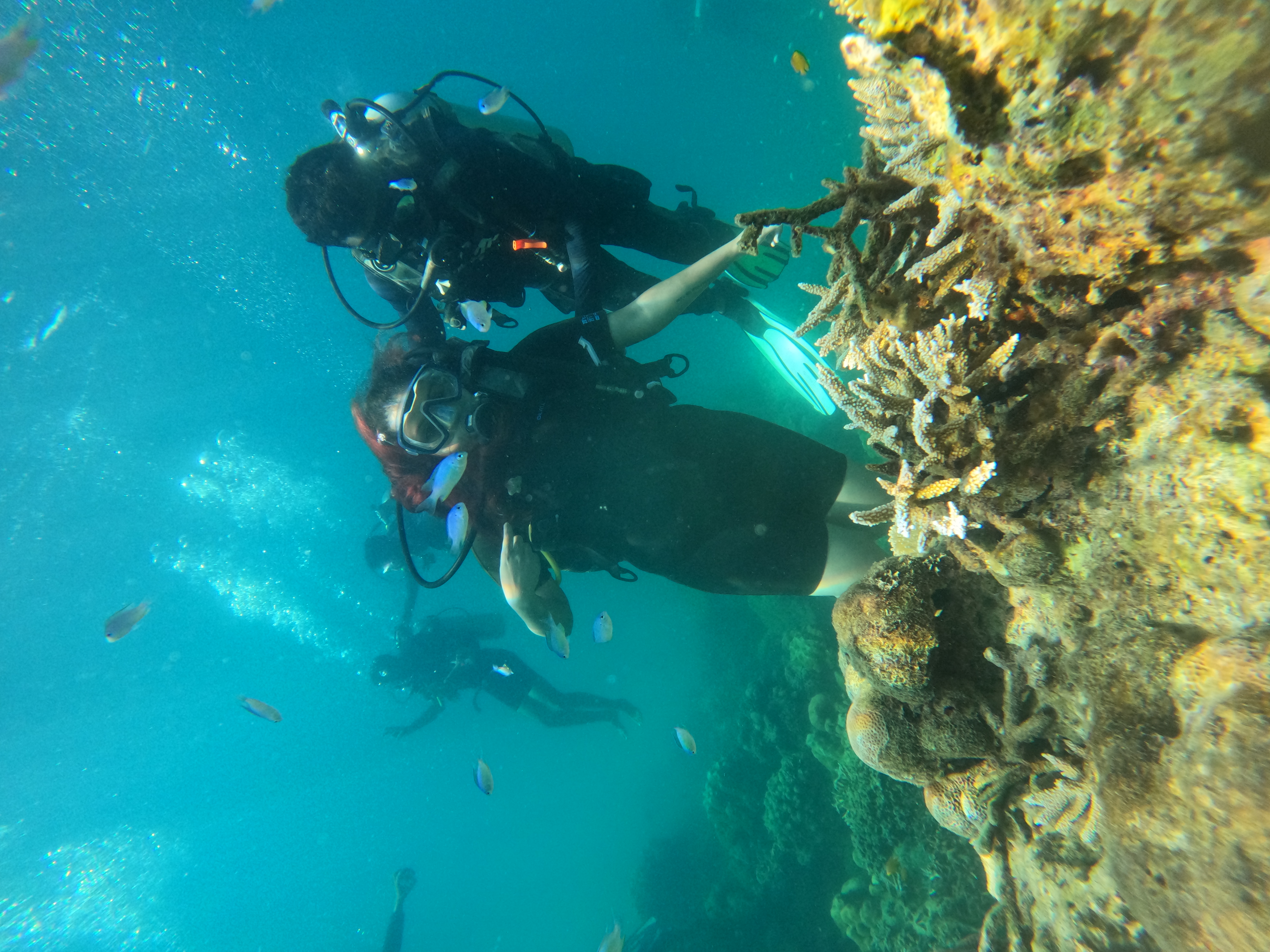 Deep Sea Diving Expeditions